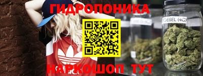 spice Краснодар